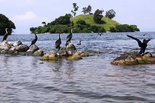 lake kivu