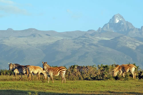 mt kenya safaris national park