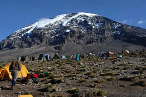 mt kilimanjaro