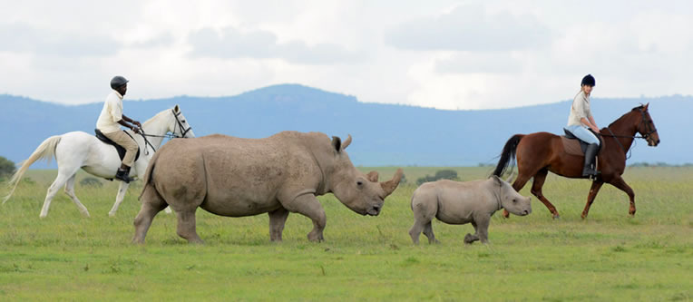 ol pejeta