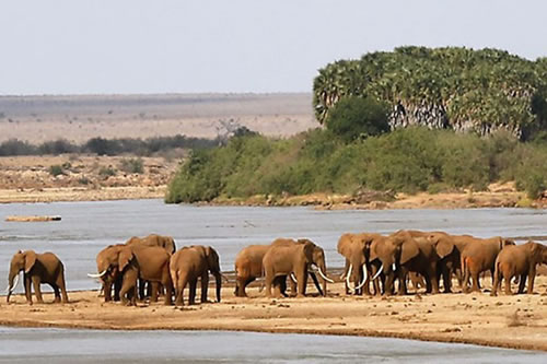 tsavo