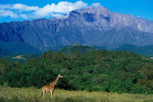 arusha national park