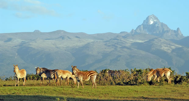 mt kenya safaris national park